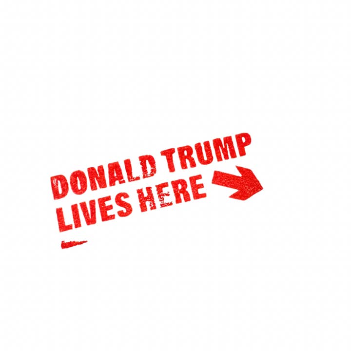 I Love My Freedom - Wholesale Rubber/Decorative Stamp - Trump Lives Here Stamp - 3422
