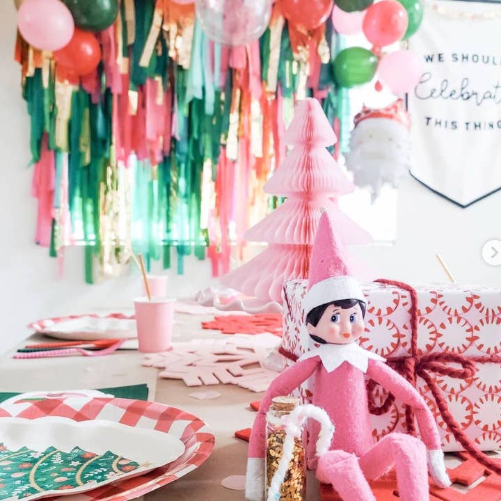 Oh My Darling Party Co - Wholesale Decal - Party Decorations - Merry Mix Fringe Backdrop5