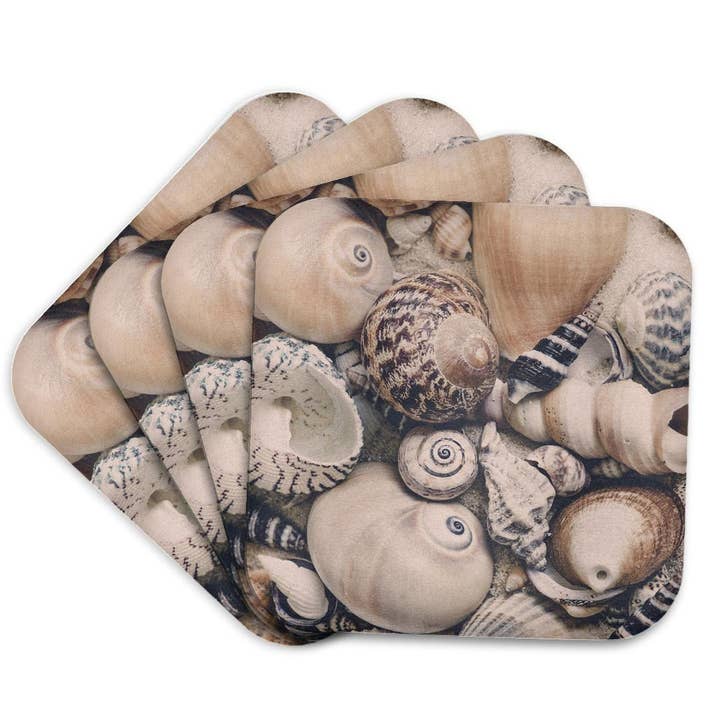 3dRose - Wholesale Coasters - 3dRose, Vintage Style Sea Shell Collection, Coaster7