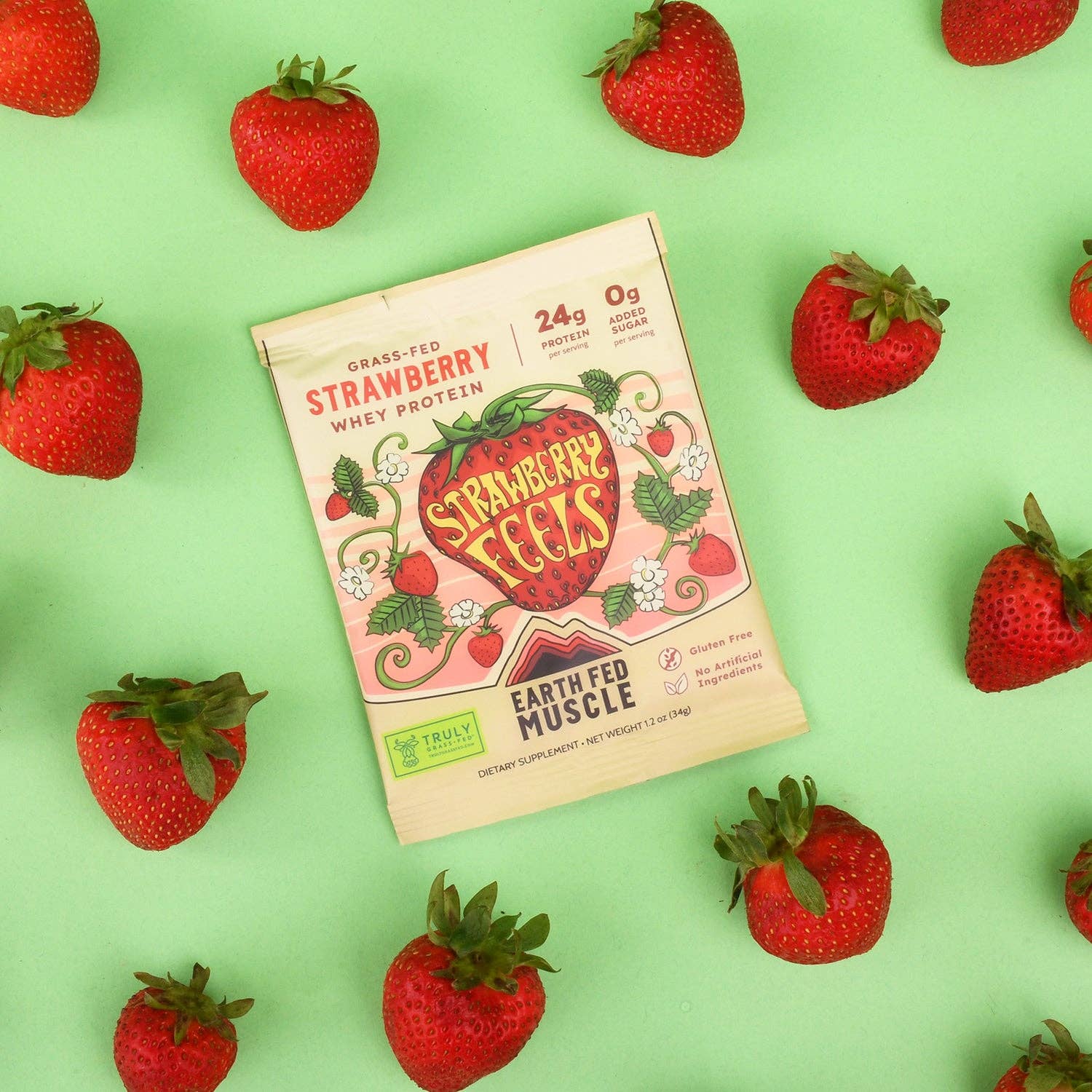 Earth Fed Muscle - Wholesale Protein/Superfood Powder - Single Serving Whey Protein Packs12