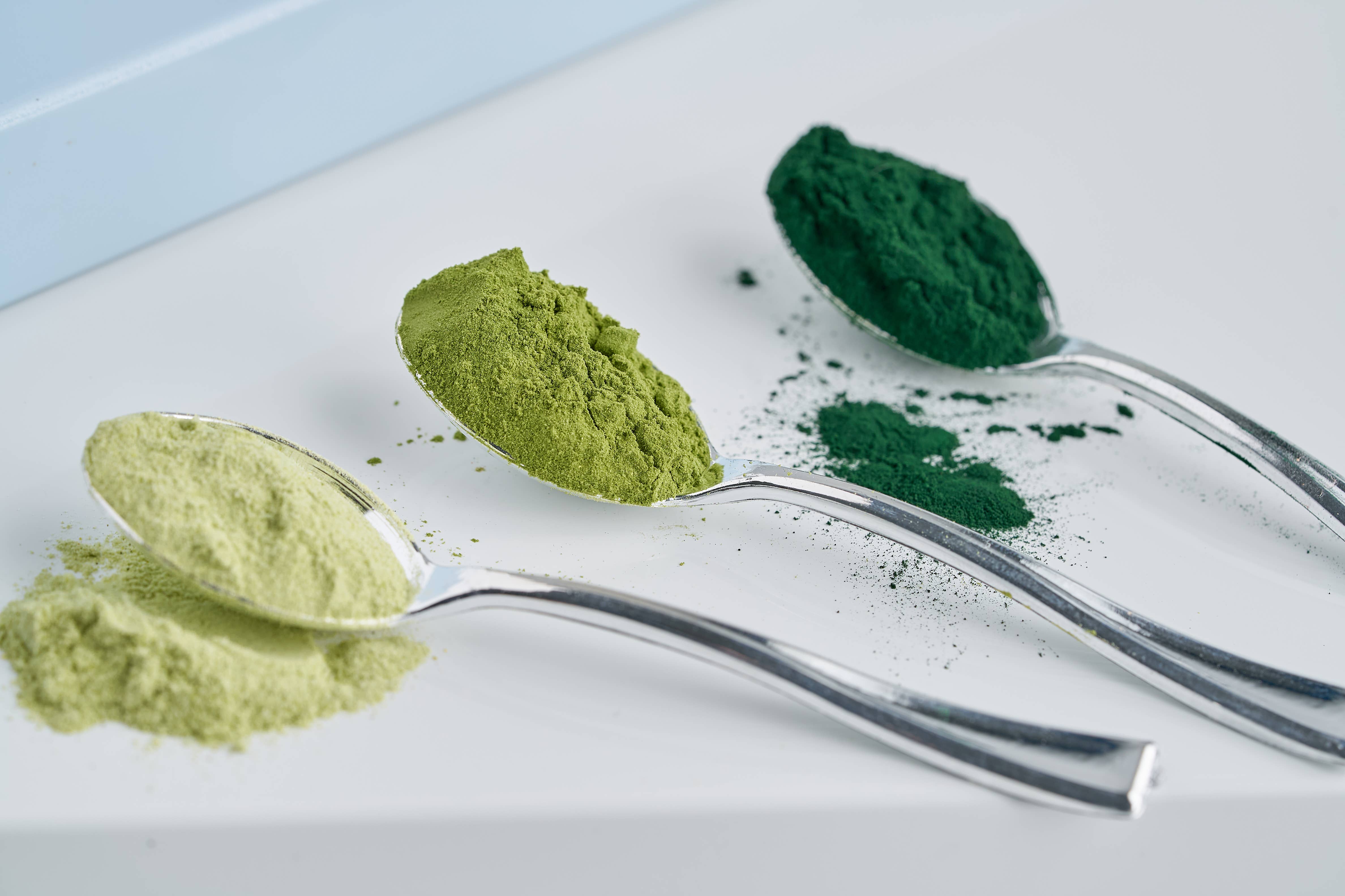 We Do Private Label - Wholesale Protein/Superfood Powder - Super Food Green - Multi Flavors [Unlabeled]6