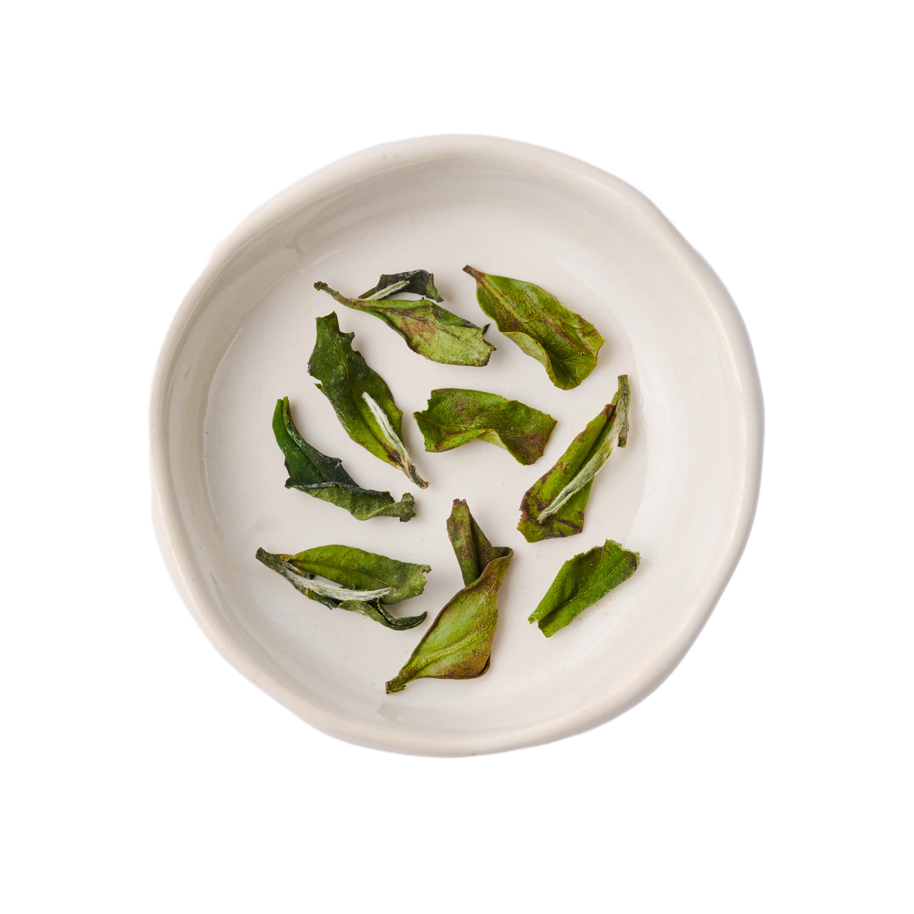 DONA - Wholesale Loose Tea - Retail Loose Leaf Green Tea (Case of 8)4