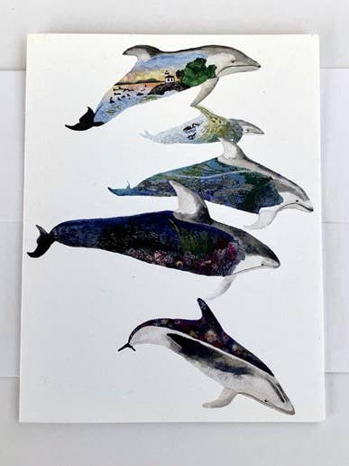 HABITATKAART VOOR PACIFISCHE WITZIJDIGE DOLFIJNEN voor wholesale door Jill Bliss Artwork