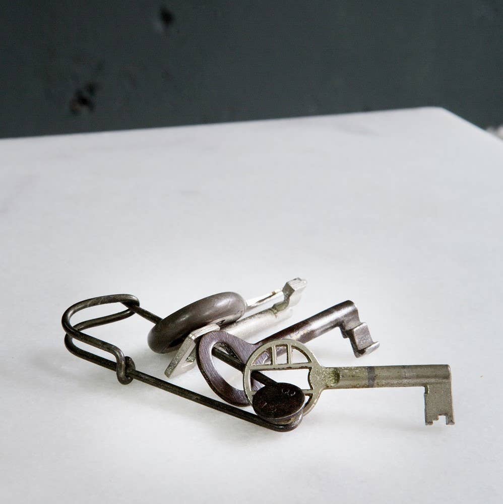 Brût Home and Glassware - Wholesale Clothes Clips - Laundry Pins Wire | set of 5 | XL Safety pins1