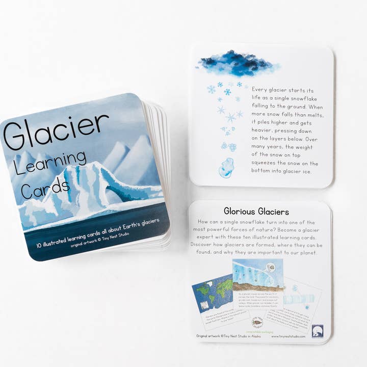 Tiny Nest Studio - Vendita all'ingrosso Carte didattiche - Bambini e neonati - Schede didattiche Glaci2