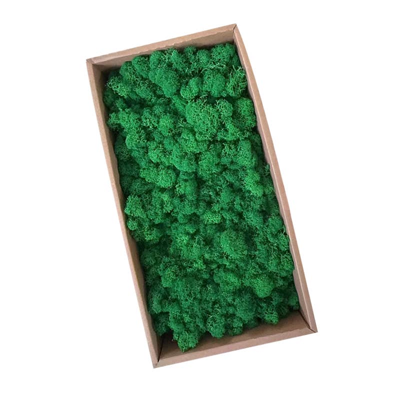 Floral Fields – wholesale Dried/pressed flowers – Preserved Moss for Crafting, 500g3