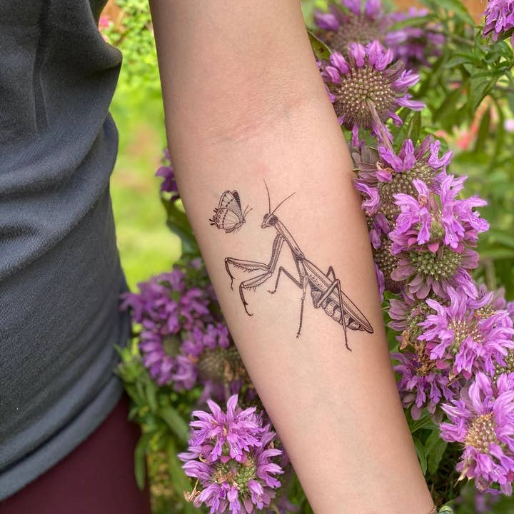 NatureTats - Wholesale Temporary Tattoo - Praying Mantis Temporary Tattoo2
