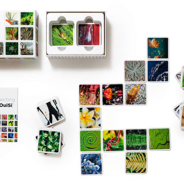 OuiSi - Wholesale Card Game - OuiSi Nature: Games of Visual Connection1