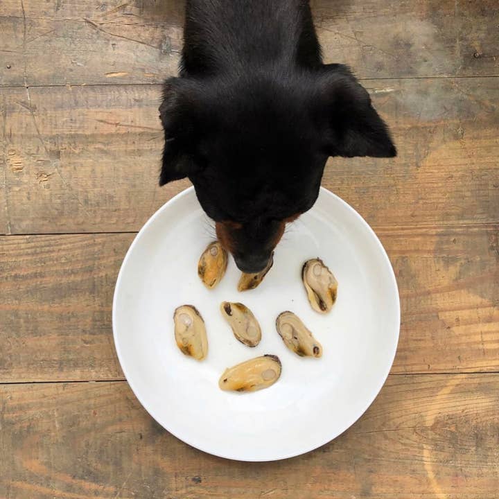 Canumi - Wholesale Pet Food - Dog - Green-lipped mussel for dogs