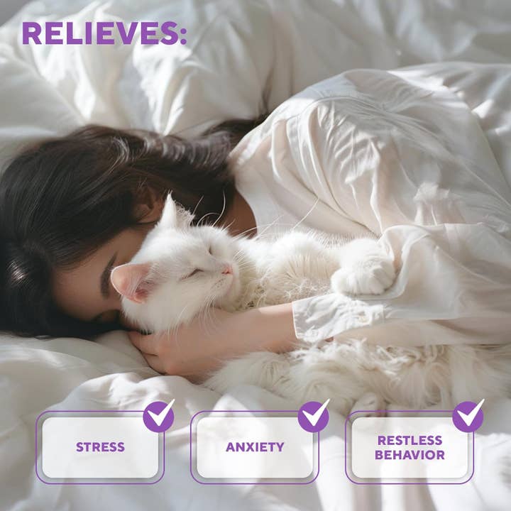 Purple Beloved Pets Cat Calming Diffuser & Pet Anti Anxiety Products - Feline Calm Pheromones Plug in & Cats Stress Relief Comfort Helps with Pee, New Zone, Aggression for wholesale on Faire5