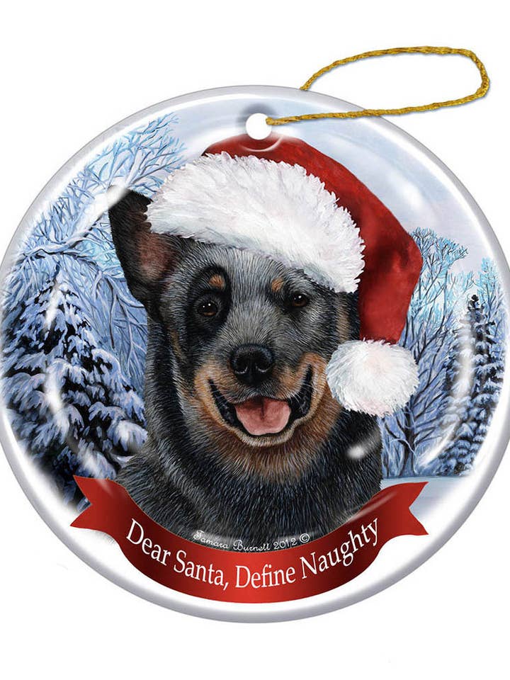 Holiday Pet Gifts Chapeau de Père Noël australien pour la vente par Pet Gifts USA, LLC
