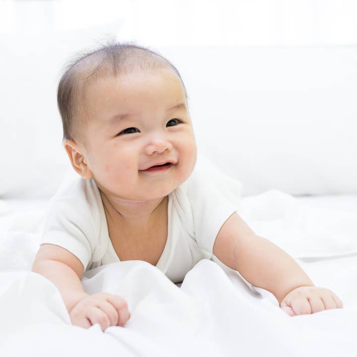 Bambini Infant Wear inc. - Wholesale Clothing set – Baby - 7-Piece Pastel Interlock Hanging Gift Set - Zebra Giraffe4