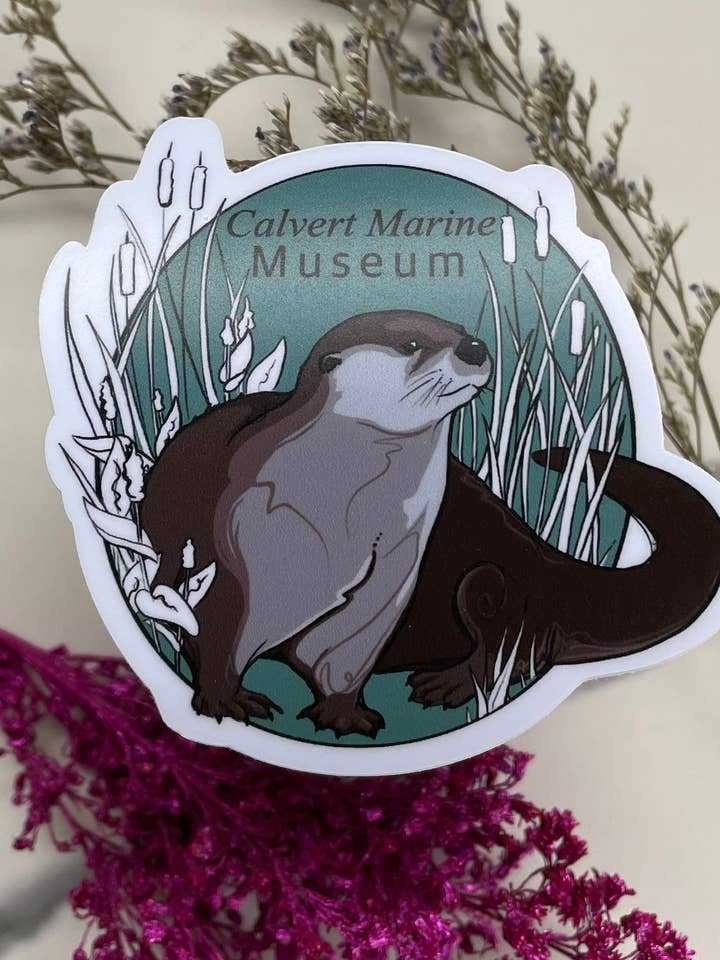 Calvert Marine Museum Otter voor wholesale door A Dresser Drawer