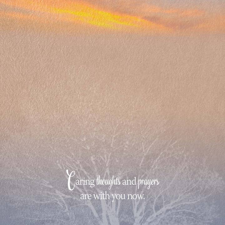 Crown Point Graphics - Wholesale Sympathy Card - Serene Sympathy - Box of 12 Assorted Sympathy Cards from Shared Blessings