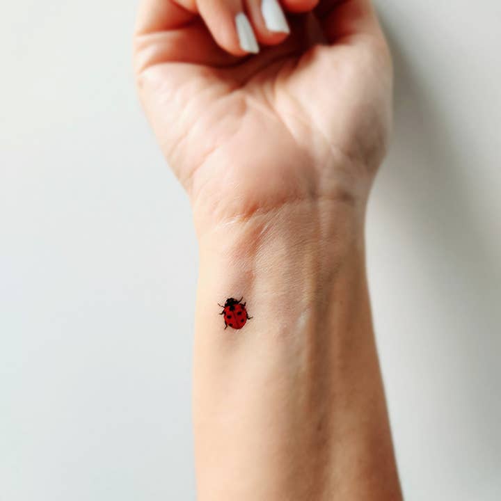 encredelicate - Wholesale Temporary Tattoo - red ladybug temporary tattoos (set of 8)3