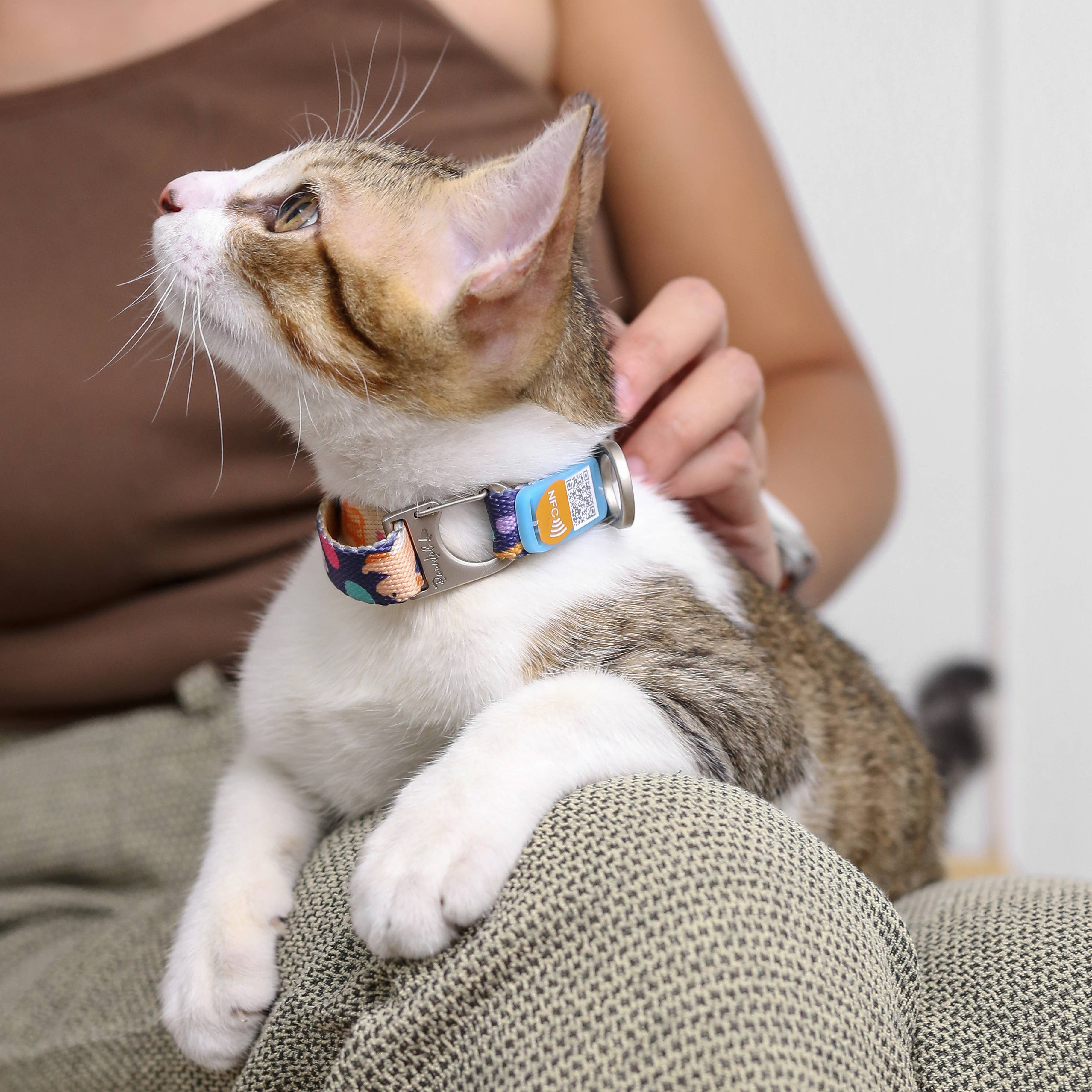 Pawnec - Wholesale Pet Collar - Cat/Dog - NeoCollar "Glow n' Go"9