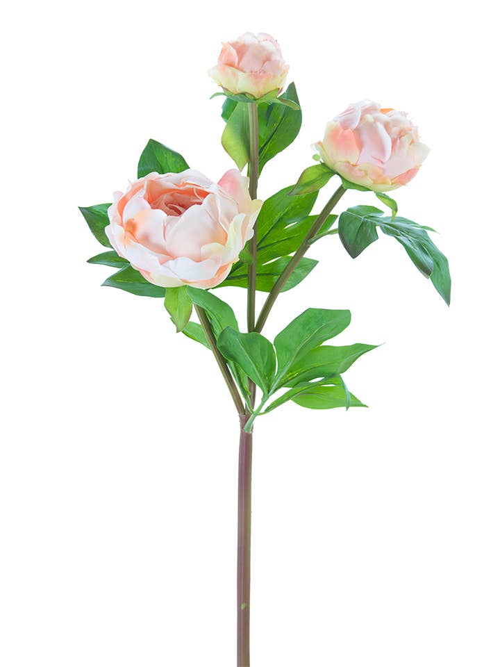 American Best - Vente Fleurs artificielles - Bourgeons de pivoine FRESH TOUCH de 28"4