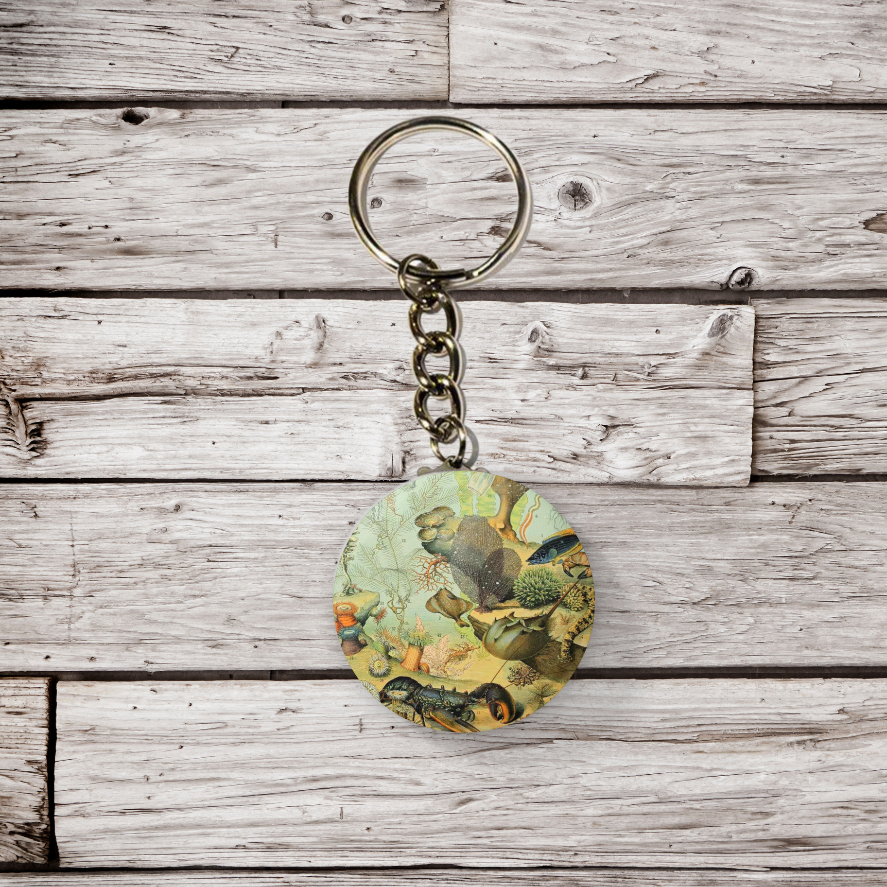 NatureCuts - Vente Épinglettes/boutons - Bouton épinglette Ocean Reef, porte-clés océan, aimant océanique2