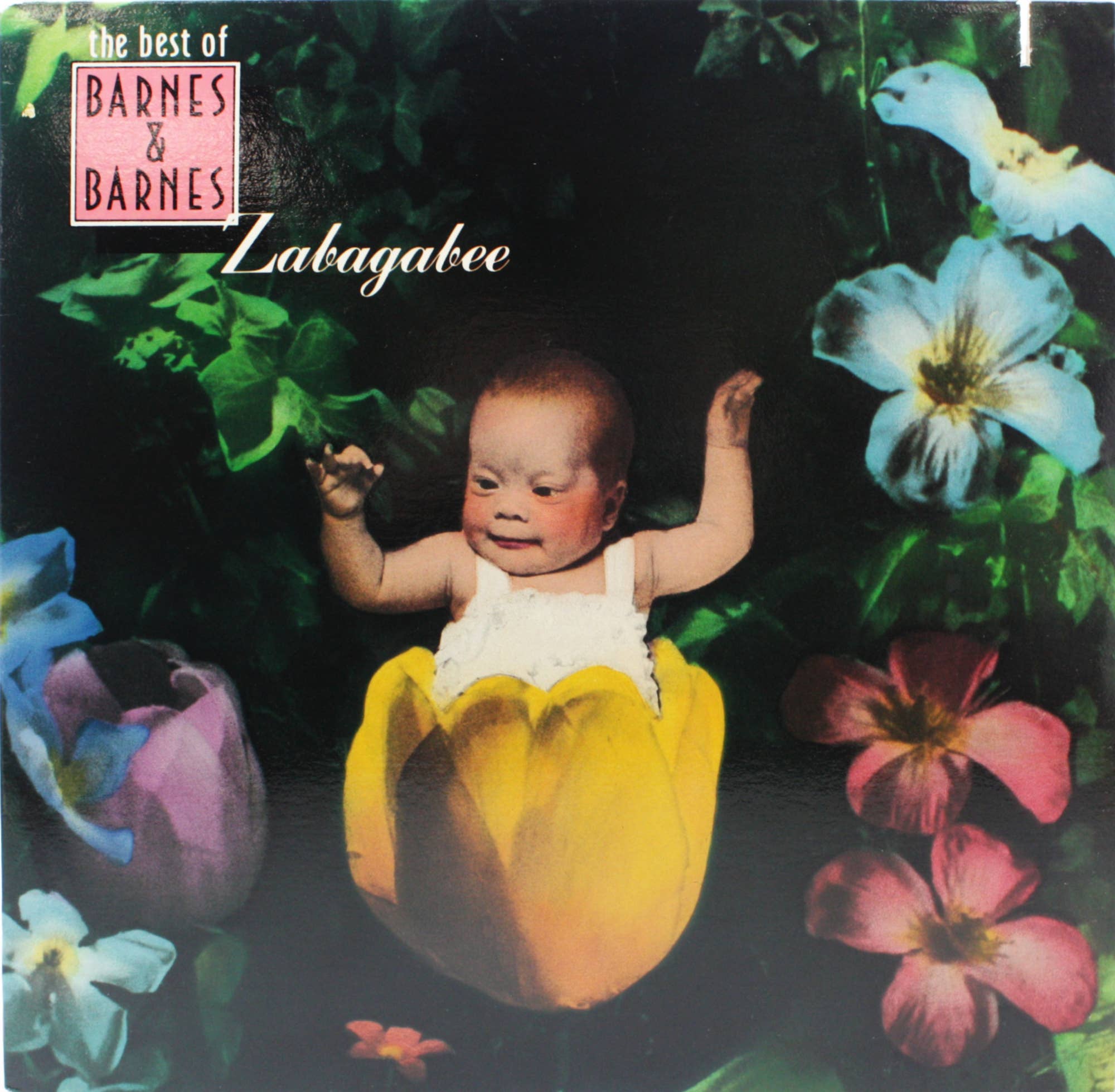 Square Deal Recordings & Supplies – wholesale Musik-CD/-vinyl – Vinyl - Förseglad 12" LP - Barnes & Barnes - Zabagabee: Bästa0