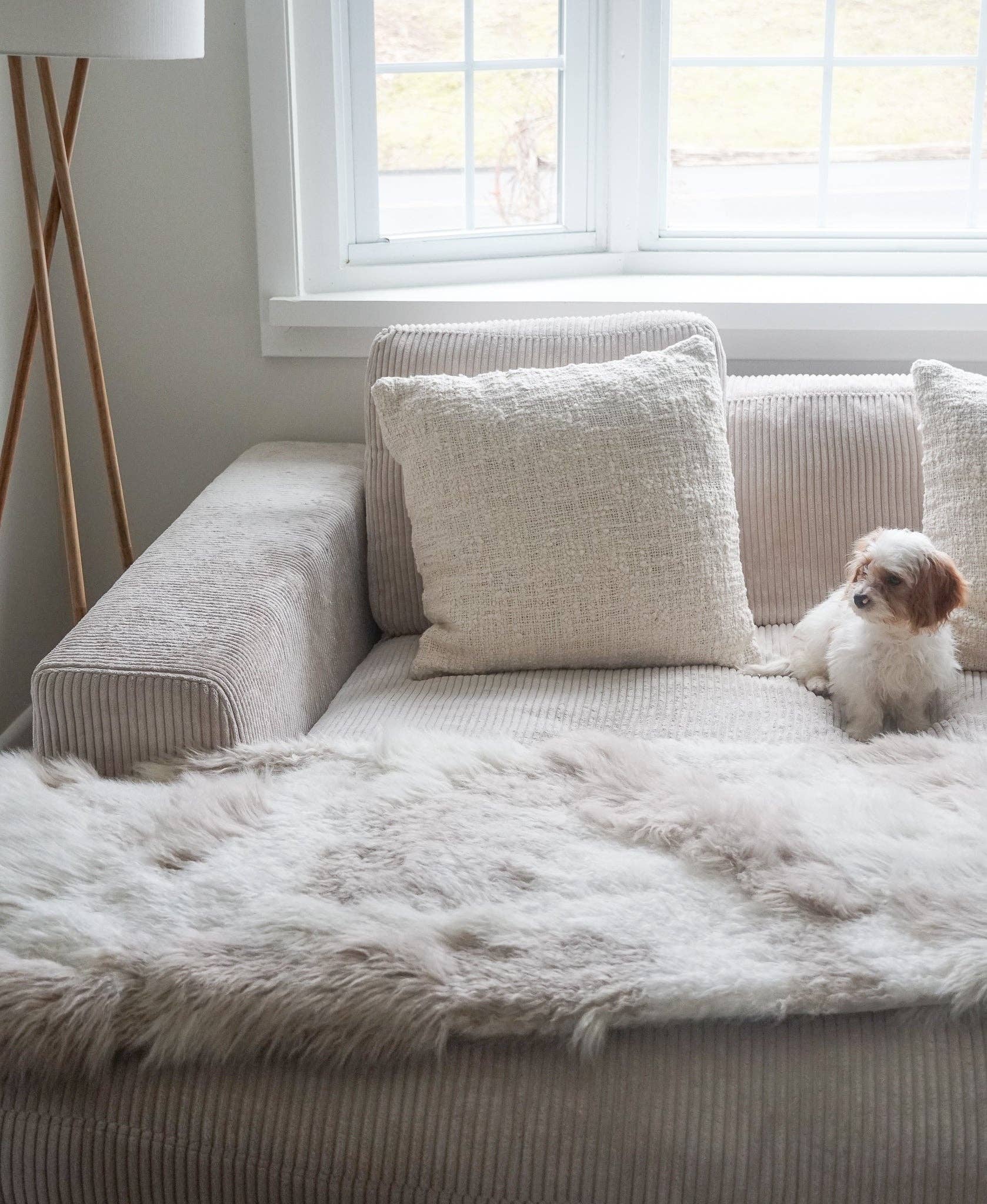 Anaya Home - Wholesale Throw/Decorative Pillow - Cozy Cotton Boucle Pillows17