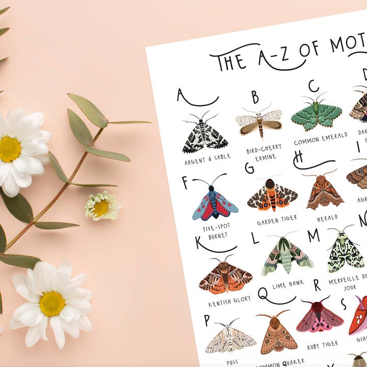 Bea Baranowska Illustration – wholesale Art print – The A-Z of Moths Print1