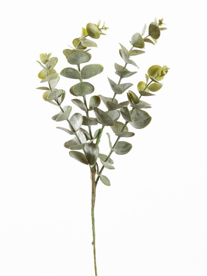 15" Eucalyptus Spray, Green & Lt. Green Leaves for wholesale by Tremont Floral Supplies