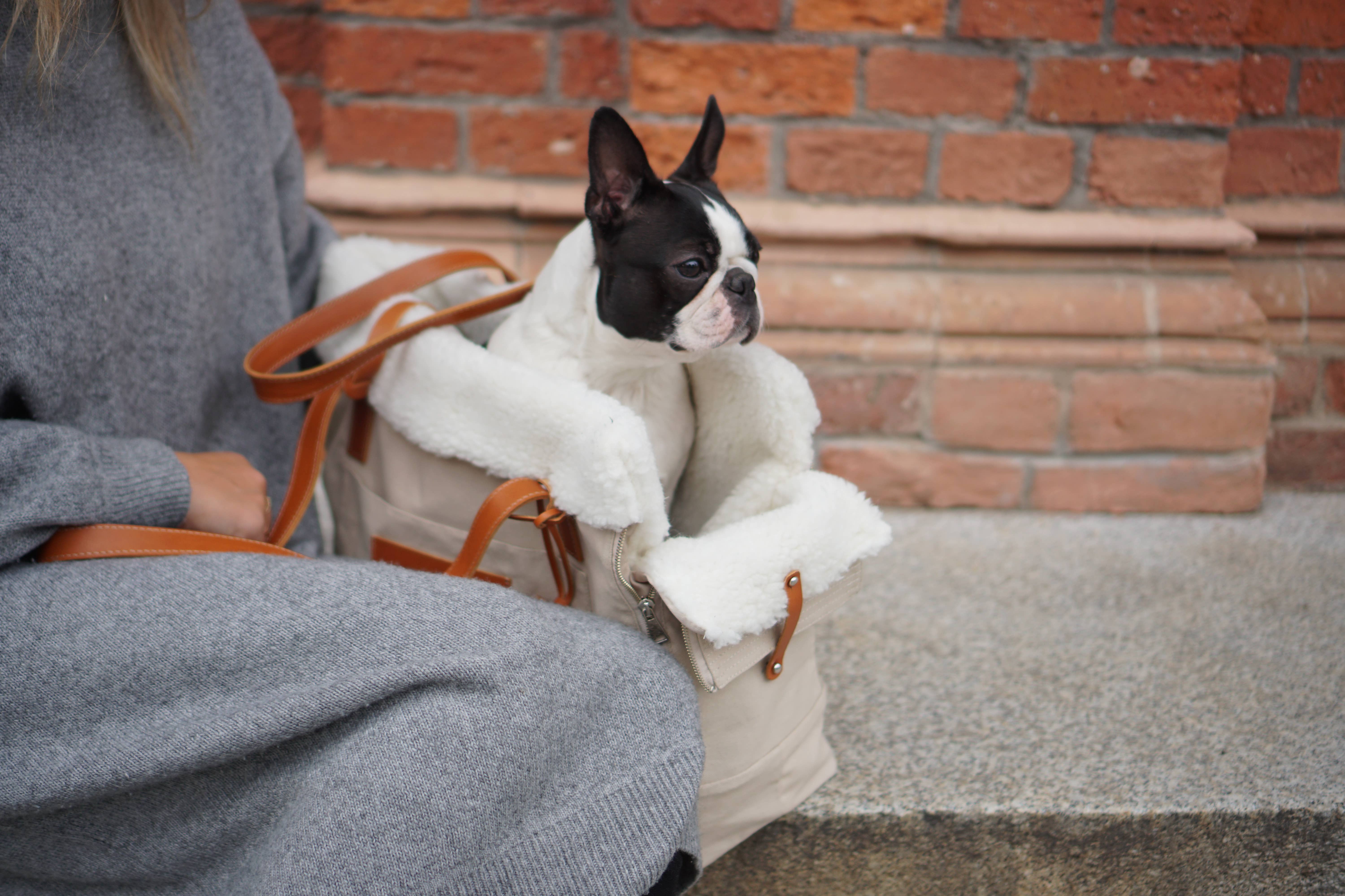 Labbvenn - Wholesale Pet Carrier - Cat/Dog - Liiva Dog Carrier6