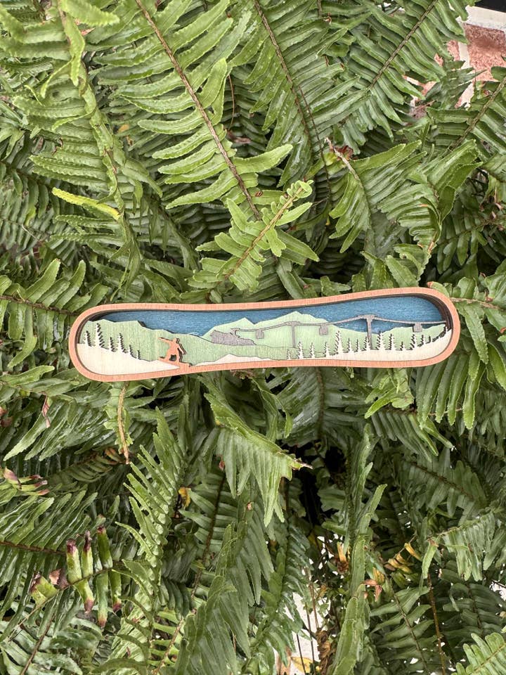 Light Snowboard for wholesale by The Wilusz Way