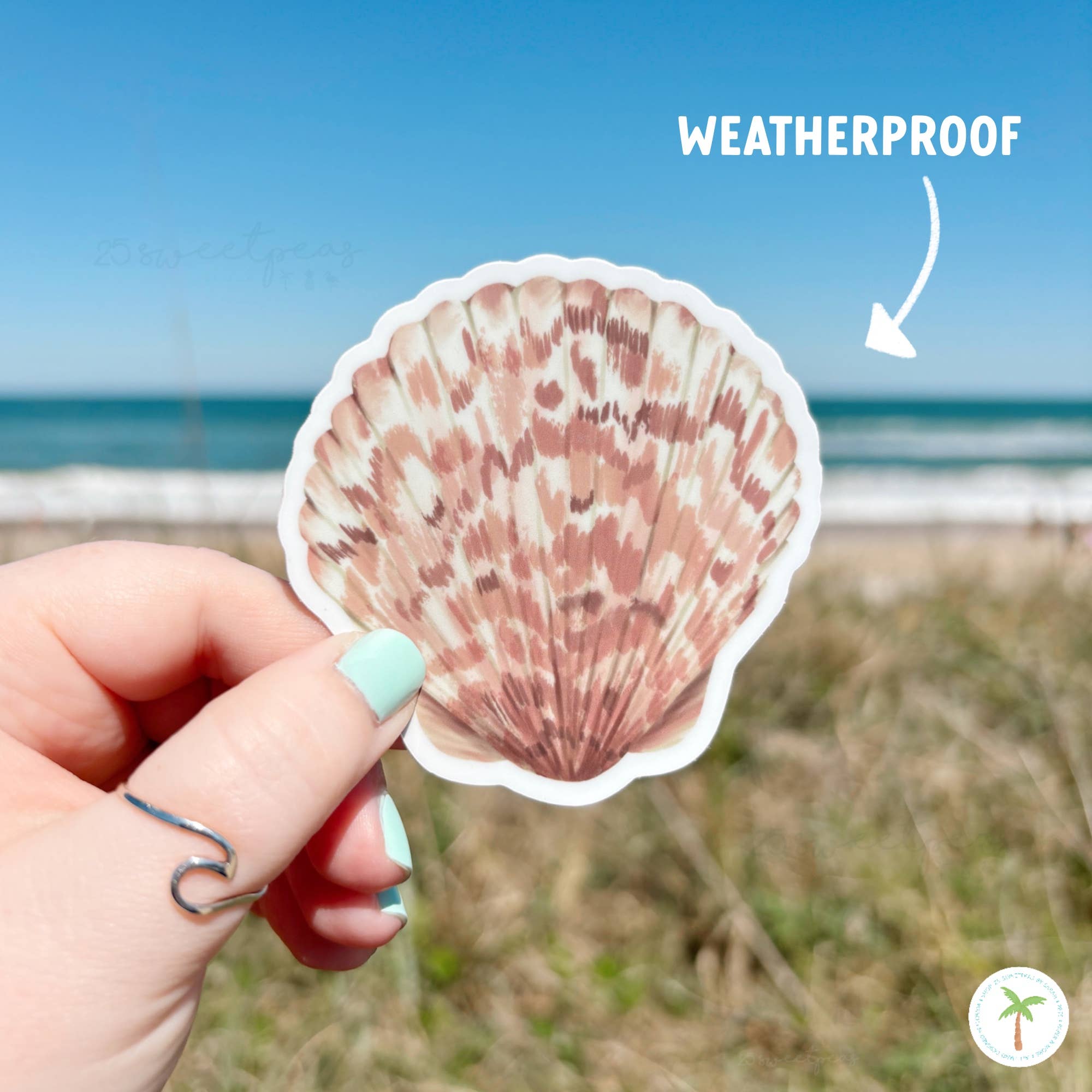 25 Sweetpeas - Wholesale Sticker - Calico Shell Sticker, Beach Sticker, Calico Scallop4