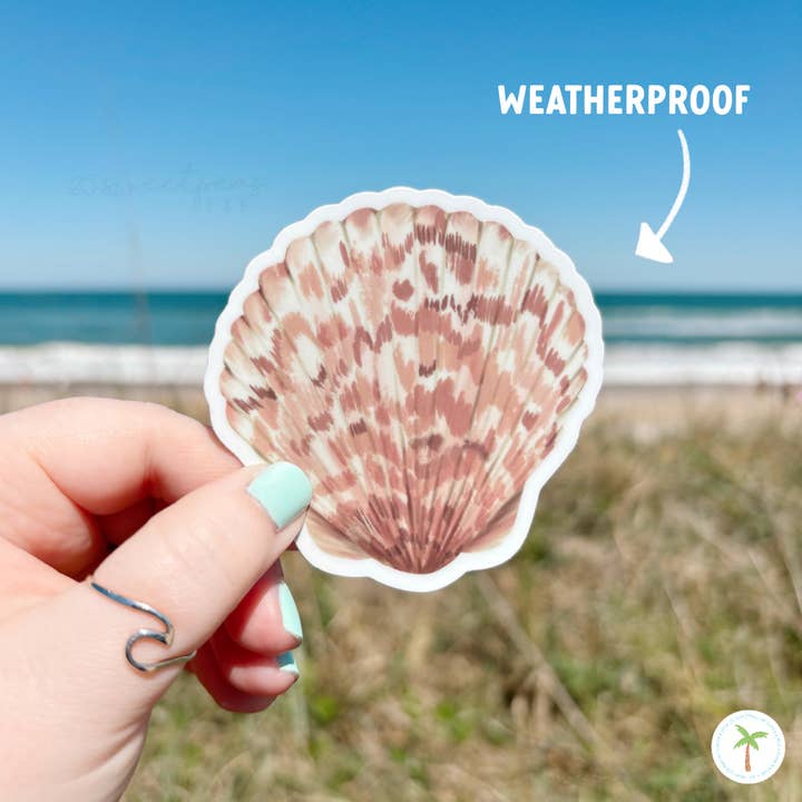 25 Sweetpeas - Wholesale Sticker - Calico Shell Sticker, Beach Sticker, Calico Scallop4
