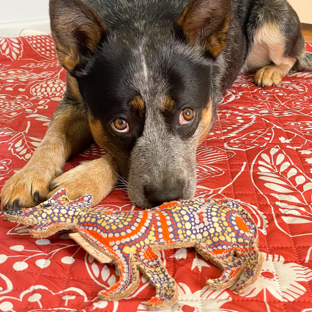 Outback Tails - Wholesale Kauwspeeltje voor honden - Hond - Kauwspeeltje voor honden in de woestijn - Trevor3