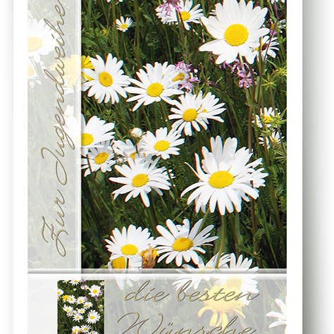 Jugendweihe / Grußkarte / 379028 für den Großhandel von Yabué