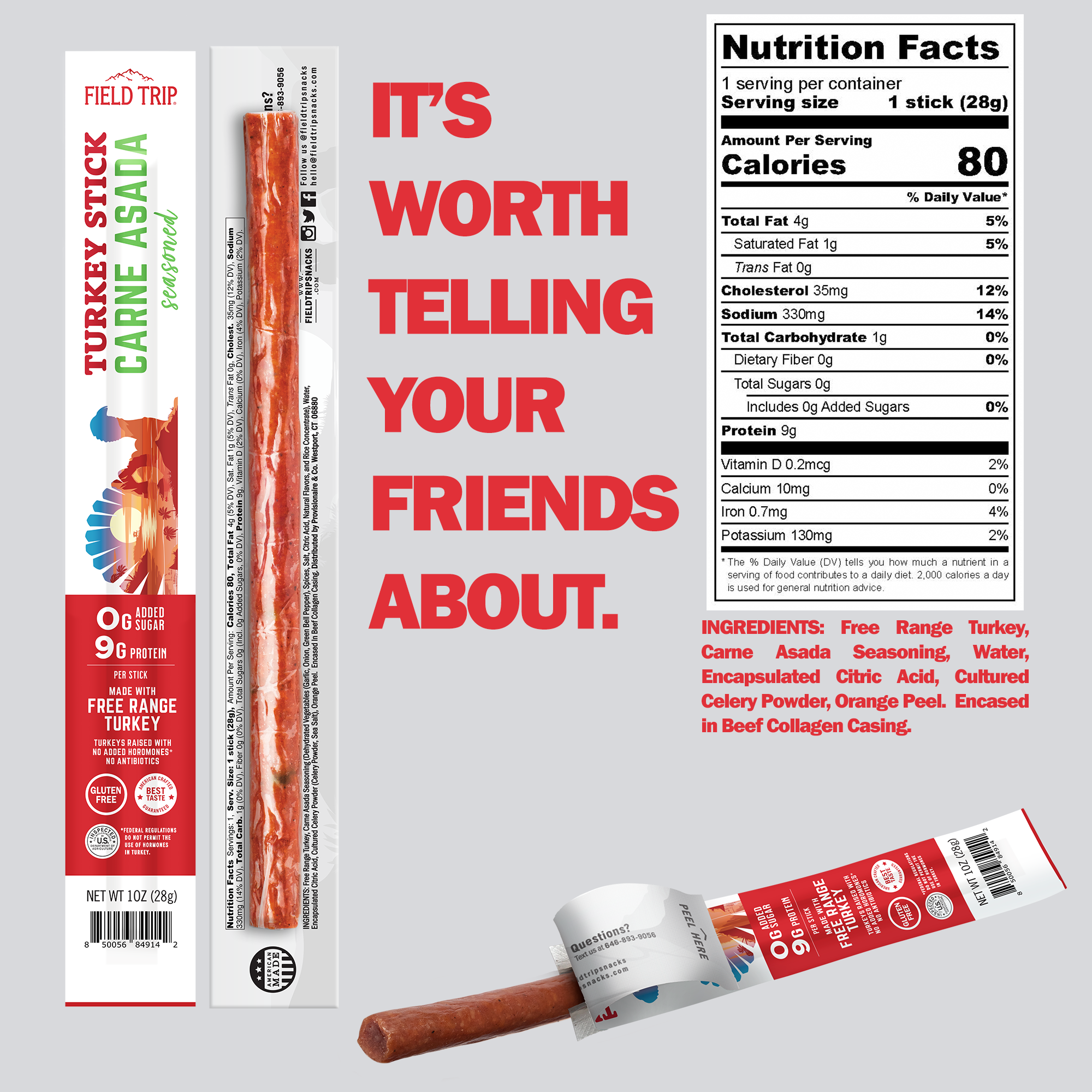 FIELD TRIP - Wholesale Jerky - Carne Asada Turkey Stick (1oz) 1