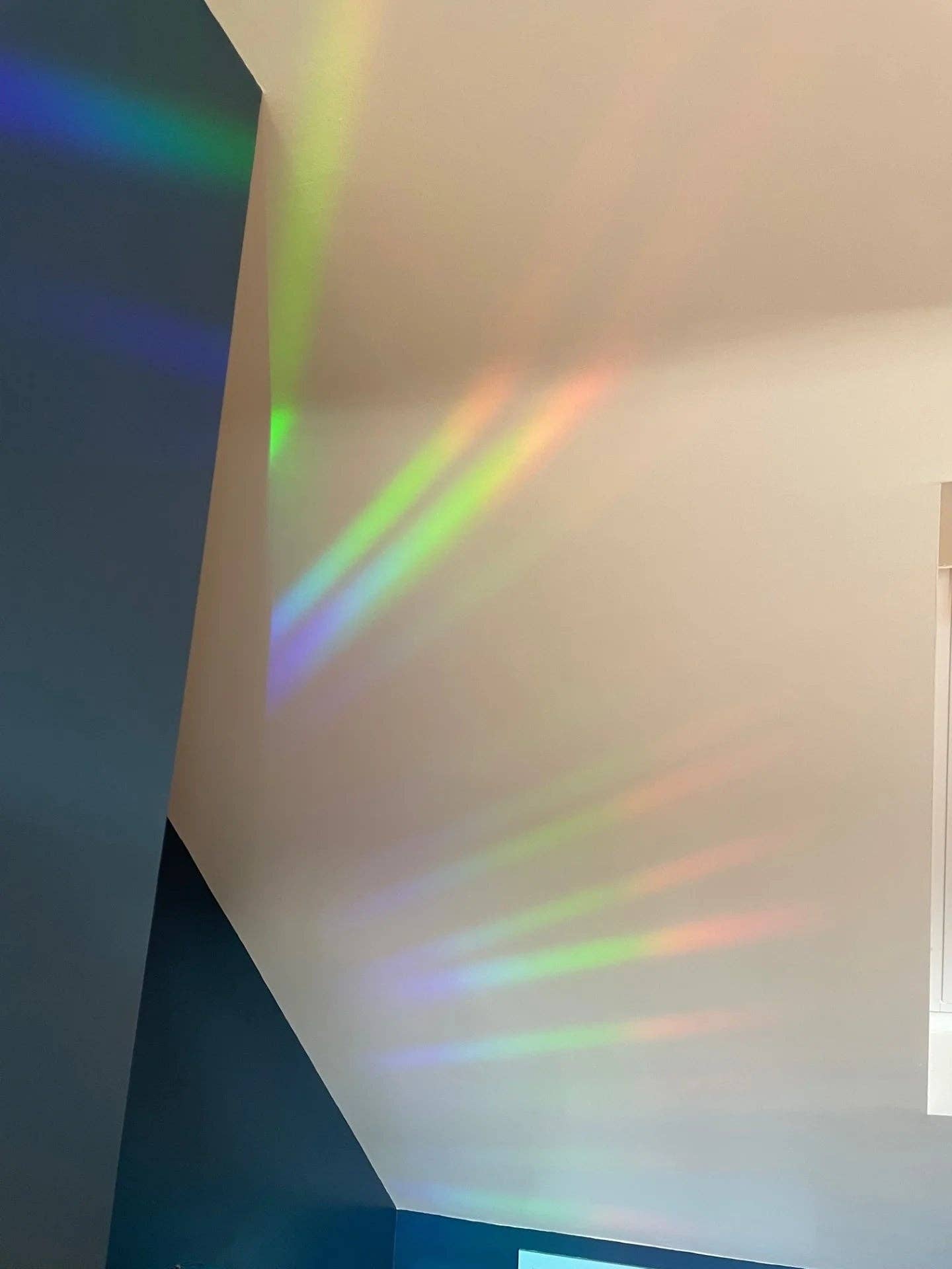 naomi wilkinson illustration - Vente Attrape-soleil - Attrape-soleil Chilli Crisp1