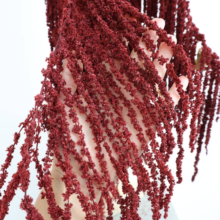 FlowerFantaSee – wholesale Torkade/pressade blommor – Djupt Röd Konserverad Amarant5