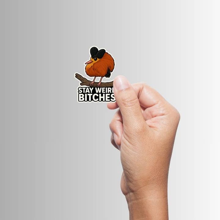 Slightly Askew Art - Wholesale Sticker - "Stay Weird Bitches" Sticker Variety Pack - 10 Designs10