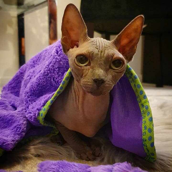 WufWuf – wholesale Husdjursbädd – Katt – MyMeow lila filt kattsängkläder