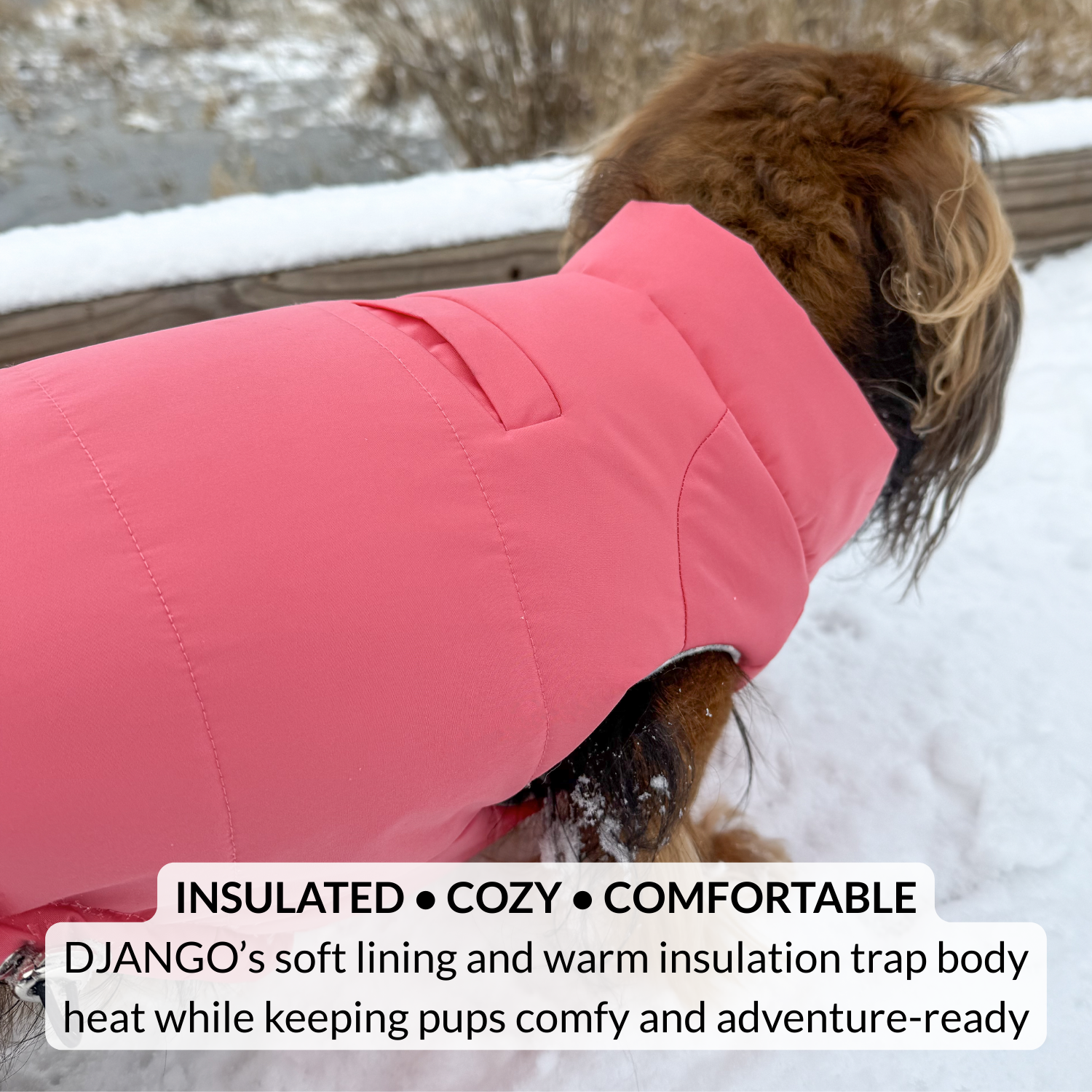 DJANGO - Wholesale Pet Coat - Dog - Snowline™ Puffer Dog Coat - Rose Petal Pink7