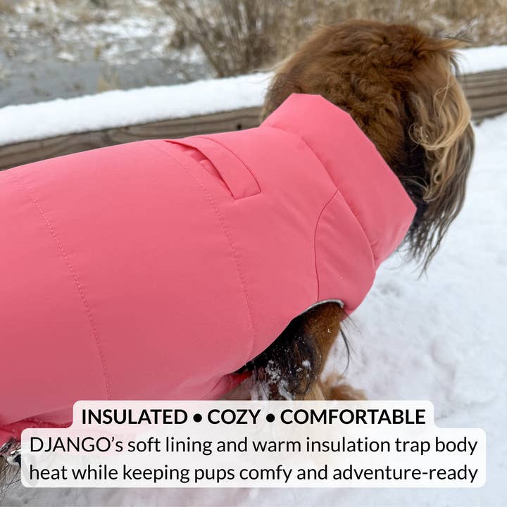 DJANGO - Wholesale Pet Coat - Dog - Snowline™ Puffer Dog Coat - Rose Petal Pink7