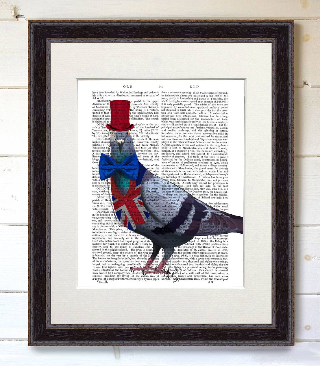 FabFunky Ltd - Wholesale Art Print - London Pigeon, Bird Book Print / Art Print / Wall Art4