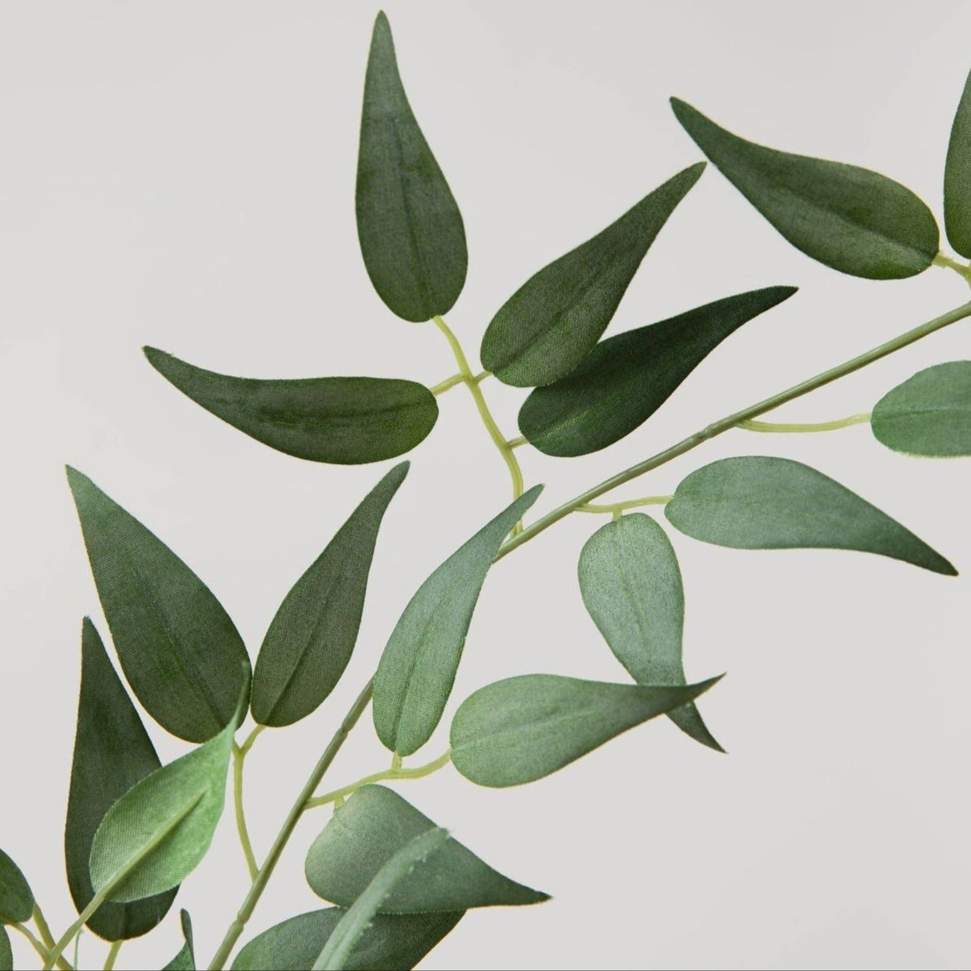 Afloral - Wholesale Artificial Flowers - Faux Italian Ruscus Spray - 46"1