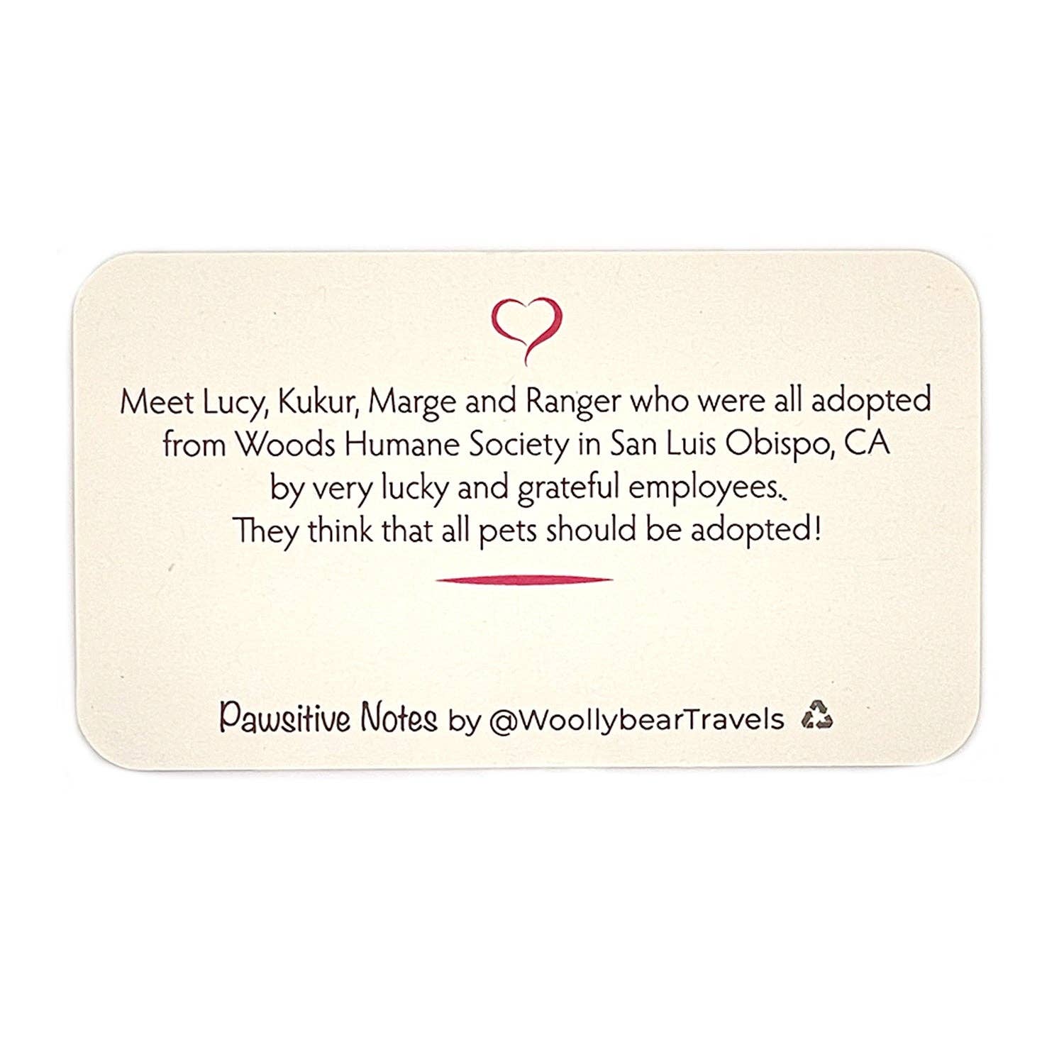 Woollybear Travels - Wholesale Stationery/Notecard Set - Pawsitive Notes- Rescued Shelter Dogs (Lunch Box Notes)6