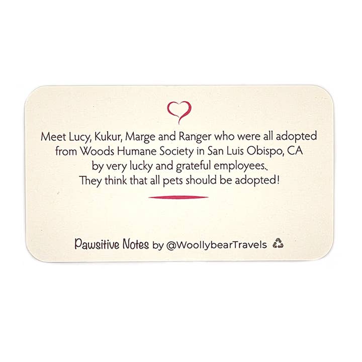 Woollybear Travels - Wholesale Stationery/Notecard Set - Pawsitive Notes- Rescued Shelter Dogs (Lunch Box Notes)6