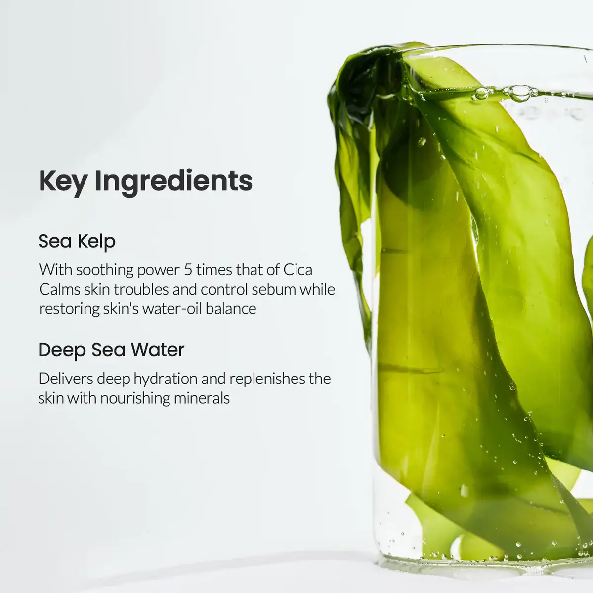 Best Beauty Group - Wholesale Skincare Face Mask - BIODANCE Refreshing Sea Kelp Real Deep Face Sheet Mask3