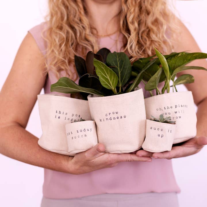 Leaf and Root Co. - Wholesale Plant Pot - Leaf & Root Starter Set3