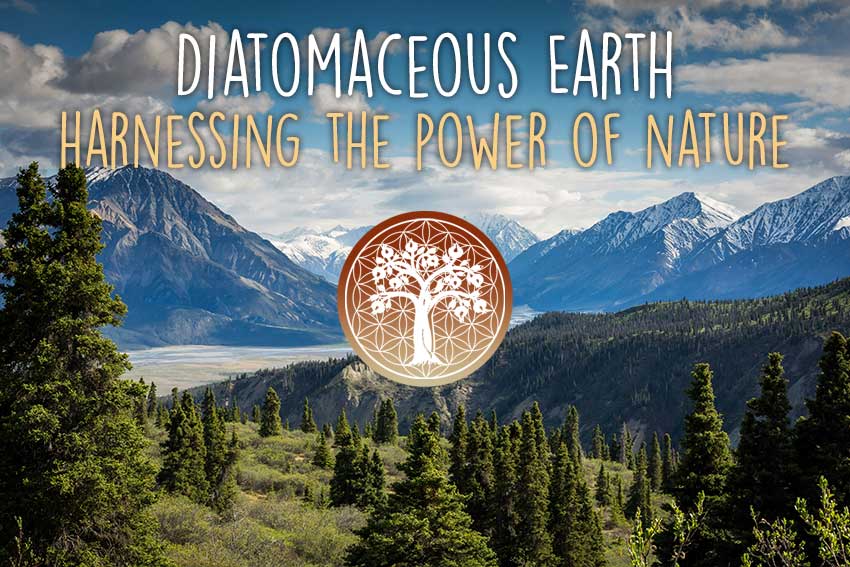 Ancient Purity – wholesale Oral supplement/vitamin – Diatomaceous Earth 200g | Fresh Water Source | Detox5