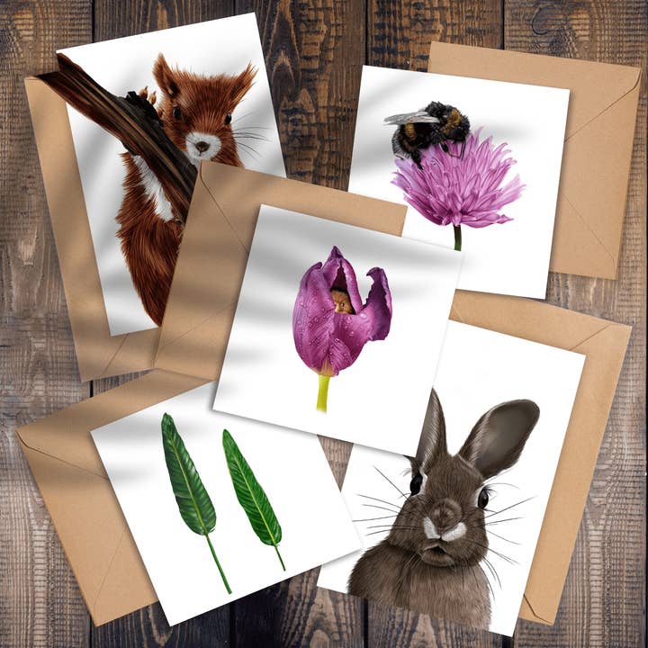 'Red Squirrel Pack of Greeting Cards for wholesale by Tanya Whitfield Illustrations