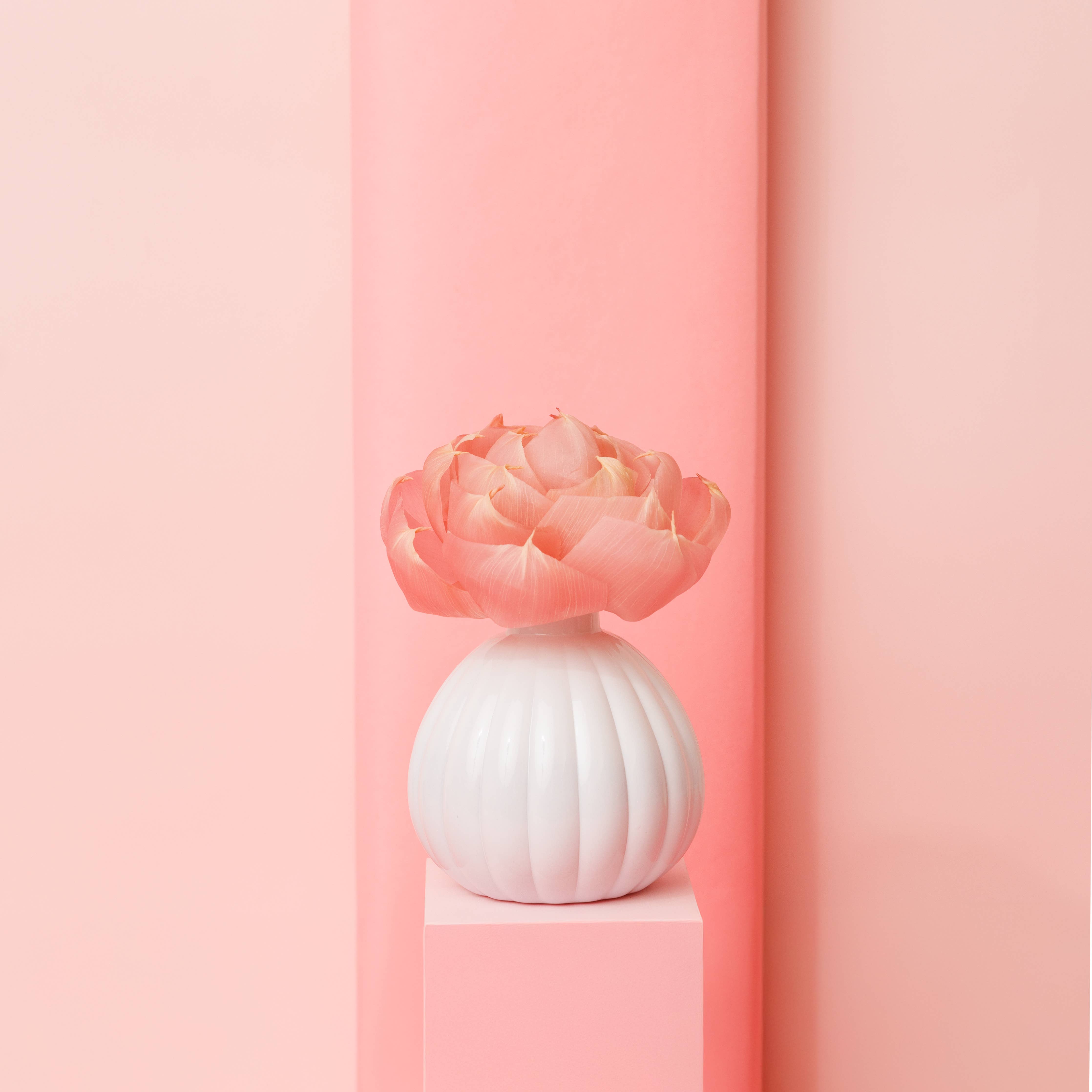 Bridgewater Candle Company - Wholesale Reed Diffuser - Sweet Grace Flower Diffuser | Spring Gift, Mother's Day Gift8