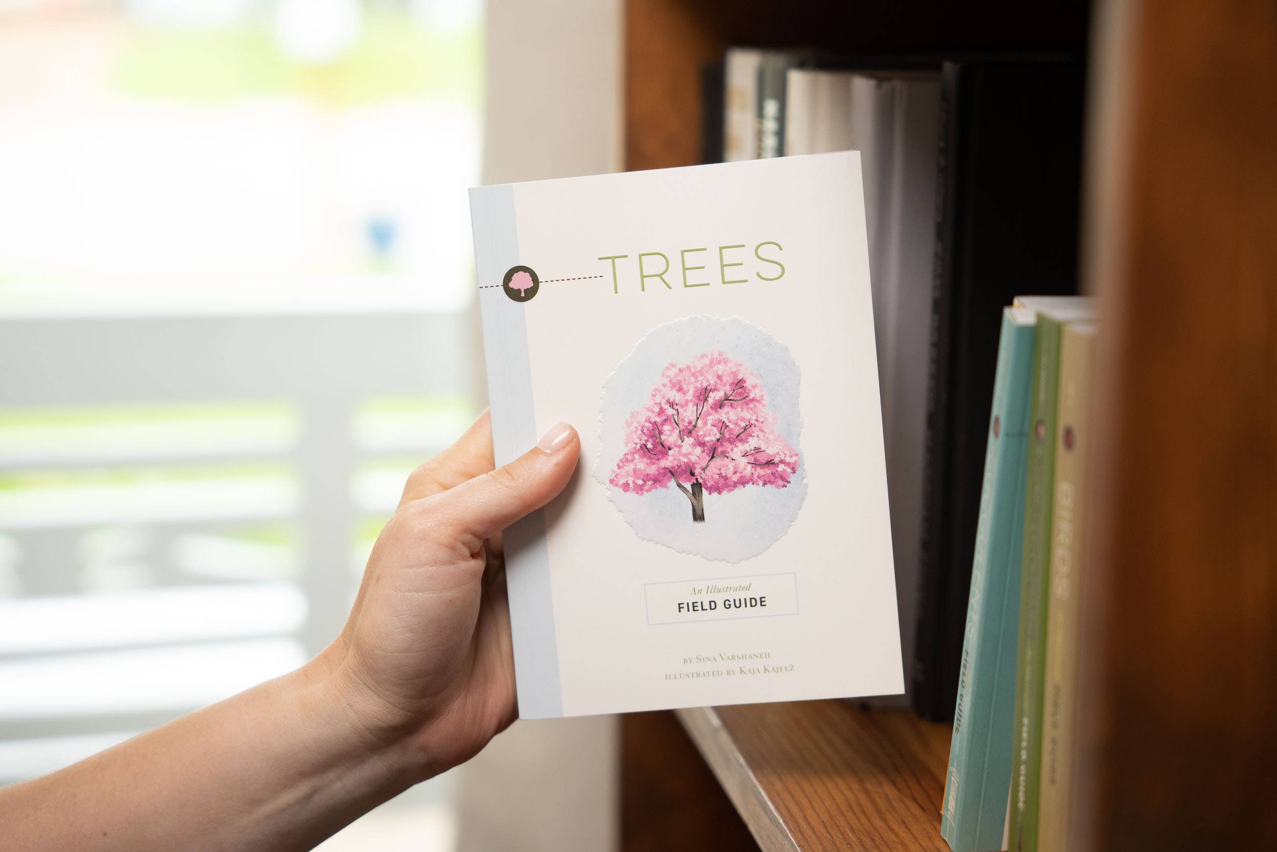 HarperCollins Focus - Wholesale Nature & Outdoors - Trees: An Illustrated Field Guide5