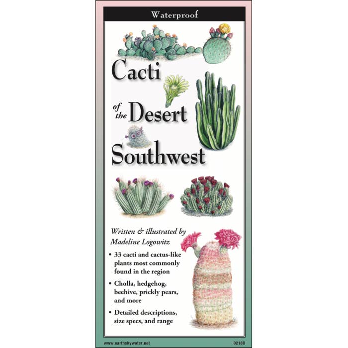 Cacti of the Desert Southwest for wholesale by Earth Sky + Water